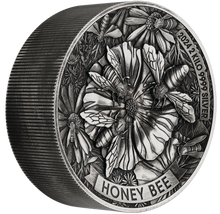Load image into Gallery viewer, 2024 Honey Bee 2 Kilo 9999 Pure Silver Antiqued High Relief $60 Coin 200-mintage