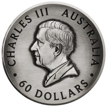 Load image into Gallery viewer, 2024 Honey Bee 2 Kilo 9999 Pure Silver Antiqued High Relief $60 Coin 200-mintage