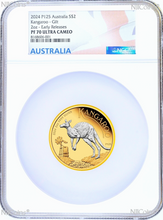 Load image into Gallery viewer, 2024 Australia GILT Proof 2oz .9999 Silver Kangaroo $2 Coin NGC PF70 ER Flag LB