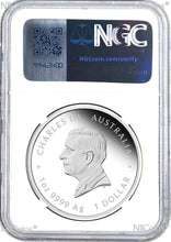 Load image into Gallery viewer, 2025 Australia PROOF Colored Silver Lunar Year of the SNAKE NGC PF69 1oz Coin FR