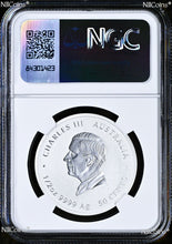 Load image into Gallery viewer, 43784252