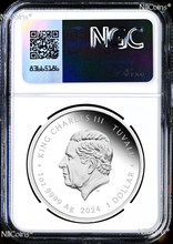 Load image into Gallery viewer, 2024 Teenage Mutant Ninja Turtles SHREDDER 1oz Colored Silver $1 COIN NGC PF70 E