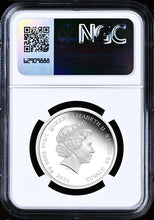 Load image into Gallery viewer, 43847047