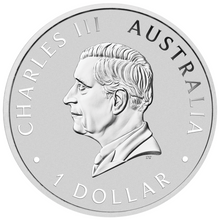 Load image into Gallery viewer, THE PERTH MINT’S 125TH ANNIVERSARY 2024 1oz SILVER Mint State $1 COIN In Capsule