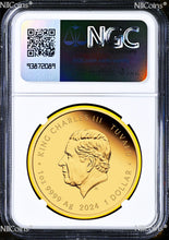 Load image into Gallery viewer, 43833691