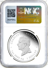 Load image into Gallery viewer, 2024 One Love 1oz .9999 Silver $1 Proof Coin NGC PF70 UC FR KCIII