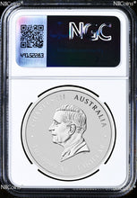 Load image into Gallery viewer, 43681645