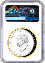 Load image into Gallery viewer, 2024 Australia GILT PROOF HIGH RELIEF 2oz Silver Kookaburra $2 Coin NGC PF70 ER
