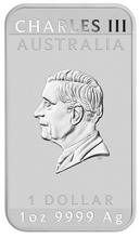 Load image into Gallery viewer, 45014991