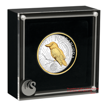 Load image into Gallery viewer, 45268337