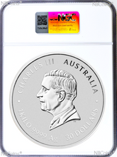 Load image into Gallery viewer, 2025 Lunar Year of the SNAKE 1 Kilo Bullion Silver $30 Coin NGC MS70 FR
