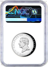 Load image into Gallery viewer, 2024 Colored HIGH RELIEF 1oz Silver Kangaroo $1 Coin NGC PF70 ER Flag Label