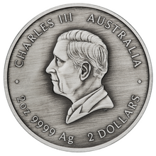 Load image into Gallery viewer, 2024 KOOKABURRA KAA KAA 2oz .9999 Silver Antiqued Colored $2 Coin