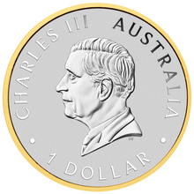 Load image into Gallery viewer, THE PERTH MINT’S 125TH ANNIVERSARY 2024 1oz SILVER TYPESET 4-Coin-Set