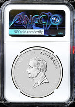 Load image into Gallery viewer, 46251487