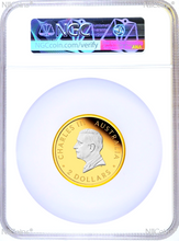 Load image into Gallery viewer, 2024 Australia GILT Proof 2oz .9999 Silver Kangaroo $2 Coin NGC PF70 ER Flag LB