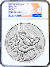 Load image into Gallery viewer, 45336090