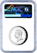 Load image into Gallery viewer, 2024 Colored HIGH RELIEF 1oz Silver Kangaroo $1 Coin NGC PF70 FR Blue Label