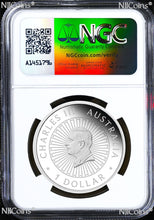 Load image into Gallery viewer, 44346144