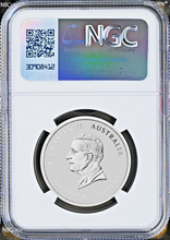 Load image into Gallery viewer, 44631903