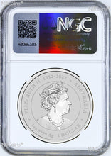 Load image into Gallery viewer, 2024 Silver Lunar Year of the Dragon NGC MS70 1oz $1 Coin Yellow Facing RG Issue