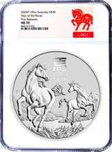 Load image into Gallery viewer, 46251491