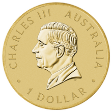 Load image into Gallery viewer, THE PERTH MINT’S 125TH ANNIVERSARY 2024 Base Metal $1 COIN In Card