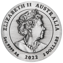 Load image into Gallery viewer, 2022 Year of the Tiger 2oz .9999 SILVER $2 Lunar ANTIQUED COIN
