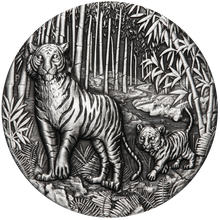 Load image into Gallery viewer, 2022 Year of the Tiger 2oz .9999 SILVER $2 Lunar ANTIQUED COIN