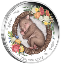 Load image into Gallery viewer, 2021 DREAMING DOWN UNDER WOMBAT 1/2oz SILVER PROOF COLORED Final COIN in Series