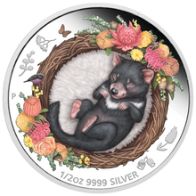 Load image into Gallery viewer, 2021 DREAMING DOWN UNDER TASMANIAN DEVIL 1/2oz .9999 SILVER PROOF COLORED COIN