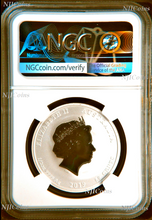 Load image into Gallery viewer, 2-Coin-Set 2019 Lunar Year of the PIG 2x 1/2oz Silver NGC PF69+MS69 Proof+BU ER