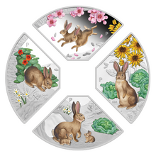 Load image into Gallery viewer, 2023 LUNAR YEAR OF THE RABBIT QUADRANT SILVER $1 4-coin-set 4x 1oz Fan-shape