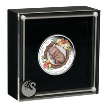 Load image into Gallery viewer, 2021 DREAMING DOWN UNDER WOMBAT 1/2oz SILVER PROOF COLORED Final COIN in Series