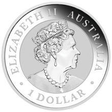 Load image into Gallery viewer, 2019 P Australia GILDED Silver Kangaroo NGC MS70 1oz Coin w/OGP gilt FR BL LABEL