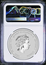 Load image into Gallery viewer, 2021 Simpsons Family Marge & Maggie $1 1oz .9999 Silver COIN NGC MS69 ER