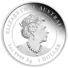 Load image into Gallery viewer, 2022 Australia COLORED PROOF Lunar Year of the Tiger 1oz Silver $1 Coin Series 3
