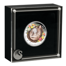 Load image into Gallery viewer, DREAMING DOWN UNDER KANGAROO 2021 1/2oz .9999 SILVER PROOF COLOURED COIN