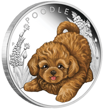 Load image into Gallery viewer, 2018 Puppies Poodle Tuvalu PROOF Silver NGC PF 70 1/2oz Coin Lunar Year DOG FR