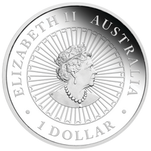 Load image into Gallery viewer, Australian Opal Series 2020 1oz Silver Proof $1 Coin Great Southern Land