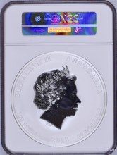 Load image into Gallery viewer, 2018 Australia Lunar Year of the DOG 1 Kilo Gemstone Silver $30 Coin NGC SP 70