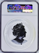 Load image into Gallery viewer, 2021 Lunar Year of the OX 1 Kilo Silver $30 Coin NGC MS70 w/ Gold Privy Mark
