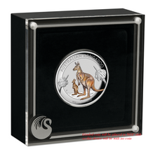 Load image into Gallery viewer, 2020 Australia FIRST Colored HIGH RELIEF 1oz Silver Kangaroo $1 Coin NGC PF70