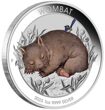 Load image into Gallery viewer, 2023 Wombat 1oz .9999 Silver $1 Colored Coin in mint card