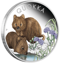 Load image into Gallery viewer, 2023 Australia Quokka 1oz .9999 Silver Proof Colored Coin