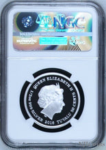 Load image into Gallery viewer, 2016 P Tuvalu PROOF COLORIZED Silver The Jaguar Cubs NGC PF70 1/2 oz Coin w/ OGP