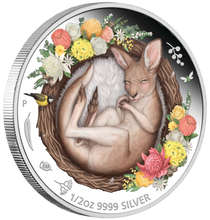 Load image into Gallery viewer, DREAMING DOWN UNDER KANGAROO 2021 1/2oz .9999 SILVER PROOF COLOURED COIN