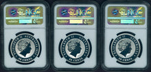 Load image into Gallery viewer, Australia Outback 2015 1/2oz Silver Colorized 3-Coin Set Collection NGC SP69