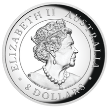 Load image into Gallery viewer, 500 Mintage 2019 P Australia HIGH RELIEF 5oz Silver Kangaroo $8 Coin NGC PF70 ER