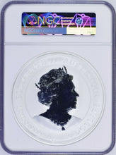 Load image into Gallery viewer, 2022 Lunar Year of the TIGER 1 Kilo Silver $30 Coin NGC MS70 w/ Gold Privy Mark